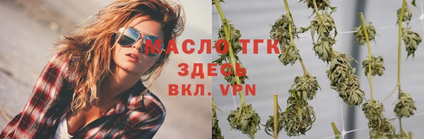 шишки Бородино