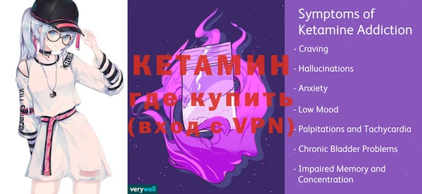 шишки Бородино