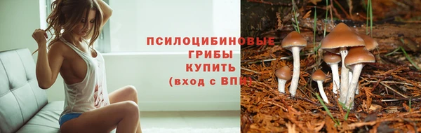 прущая мука Бронницы