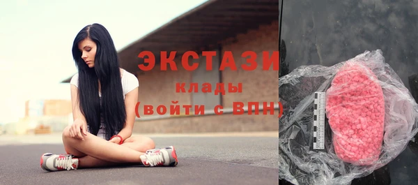 шишки Бородино