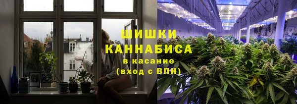 шишки Бородино