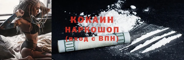 шишки Бородино