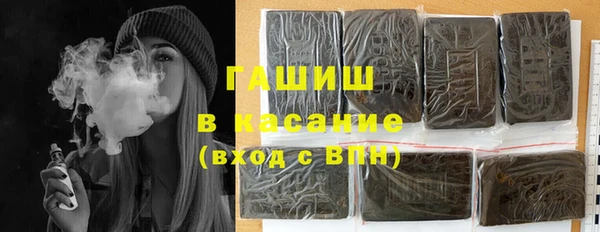 шишки Бородино