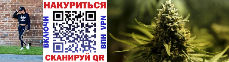 Купить  Новомичуринск  Канабис индика 